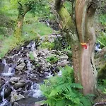 Chez Louise: Onde A Serra Beija O Ceu * 로우사