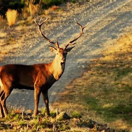 Chez Louise: Onde A Serra Beija O Céu Accommodatie bij particulieren