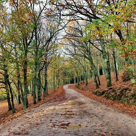 Homestay Chez Louise: Onde A Serra Beija O Ceu Lousa (Coimbra)