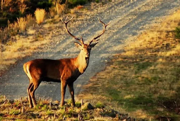 Chez Louise: Onde A Serra Beija O Ceu Ubytování v soukromí