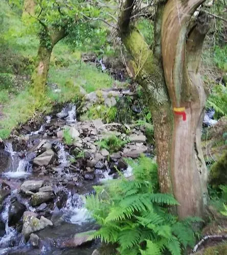 Chez Louise: Onde A Serra Beija O Ceu * Lousã