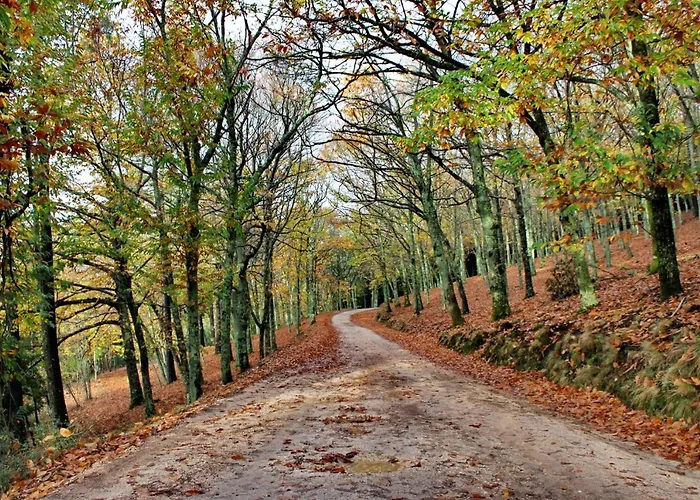 Ubytování v soukromí Chez Louise: Onde A Serra Beija O Ceu Lousã
